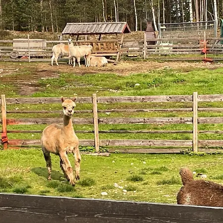 1 Bedroom Cozy In Grue Finnskog Casa vacanze Svullrya