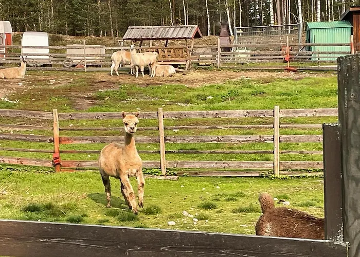 1 Bedroom Cozy In Grue Finnskog Σπίτι διακοπών Svullrya