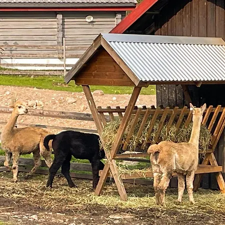 1 Bedroom Cozy In Grue Finnskog *