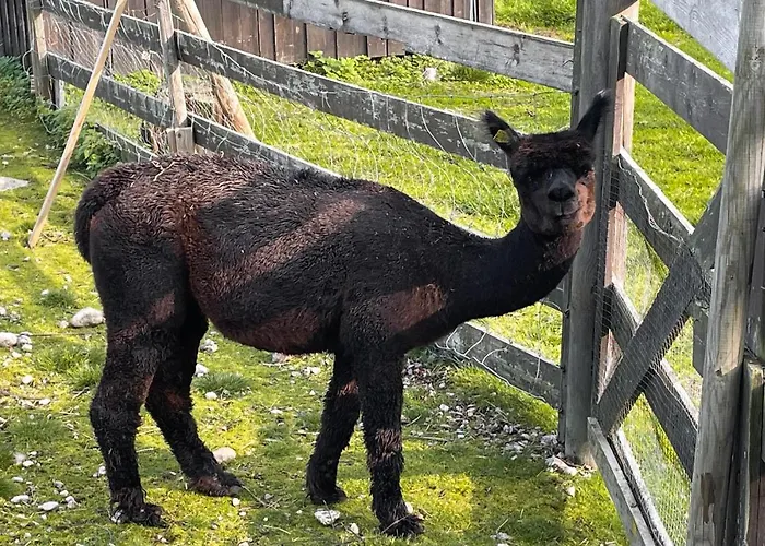 Semesterbostad 1 Bedroom Cozy In Grue Finnskog Svullrya