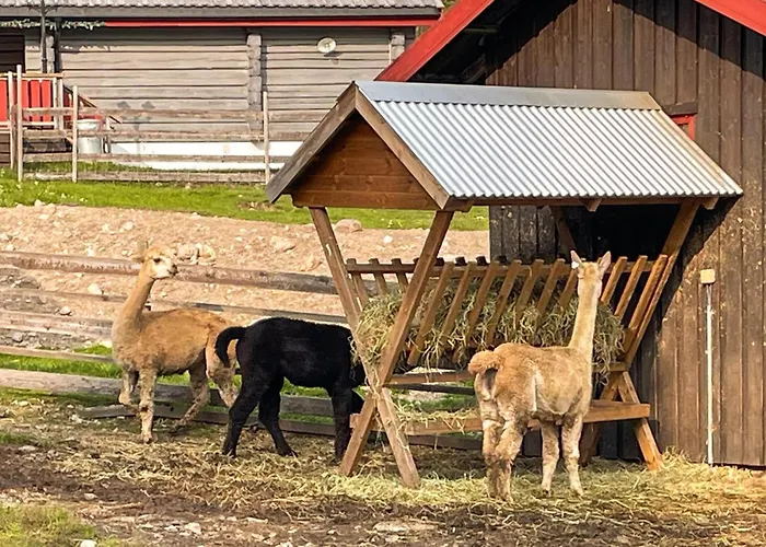 1 Bedroom Cozy In Grue Finnskog *